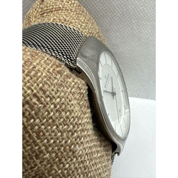 Skagen 956XLTTW Women\'s Silver Stainless Steel Mesh Analog Quartz Watch AEA141